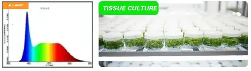 Світильник для рослин Brille FLF-09 LED 9W Fito Grow All White - фото 9