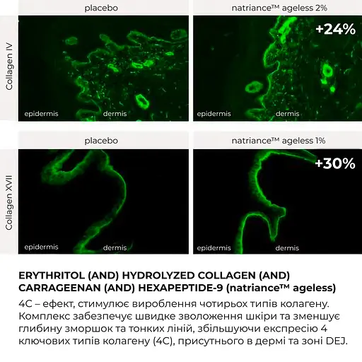 Ночной крем для антивозрастного ухода для всех типов кожи ReNuAge CollaGenious Plump Night Cream Hillary 50 мл - фото 6
