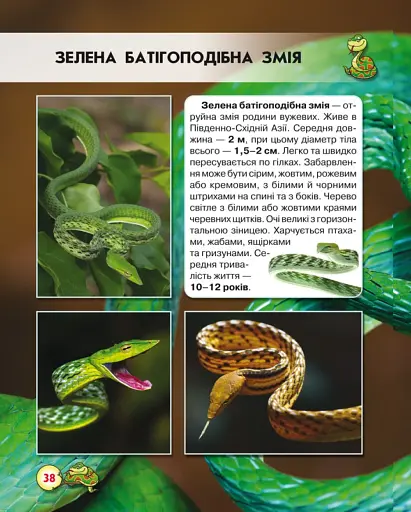 Світ навколо нас. Змії - фото 3
