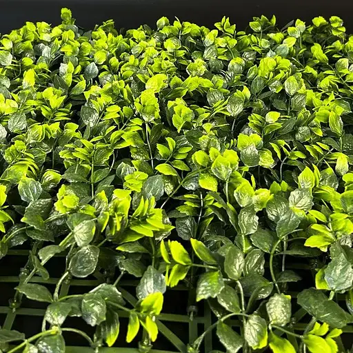 Декоративное зеленое покрытие Engard Патио 50х50 см (GCK-27) - фото 2