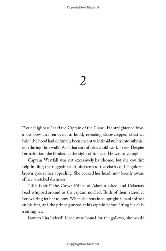 Throne of Glass - фото 16