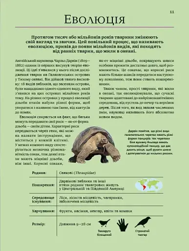 Велика книга тварин - фото 11