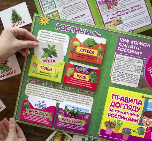 Рослини. Лепбук - фото 4