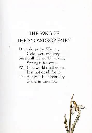 Flower Fairies of the Winter - фото 5