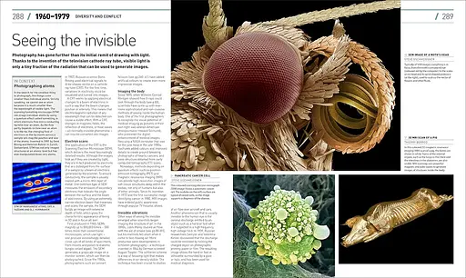 Photography - фото 9