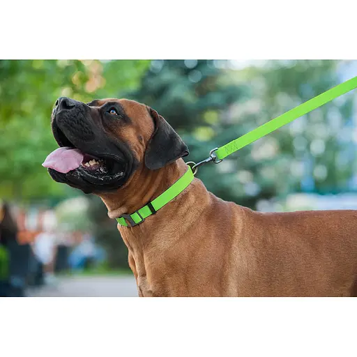 Водостойкий поводок для собак Waudog Waterproof M Ш 20 мм Д 183 см салатовый - фото 7