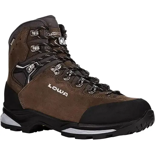 Ботинки Lowa Camino Evo GTX 41.5 Brown (1012-210627-4527-41.5)