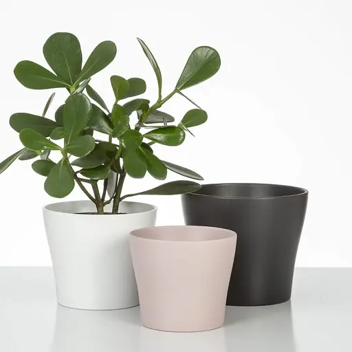 Кашпо для цветов Scheurich 808 керамика 19 см антрацит (4002477336503) - фото 3