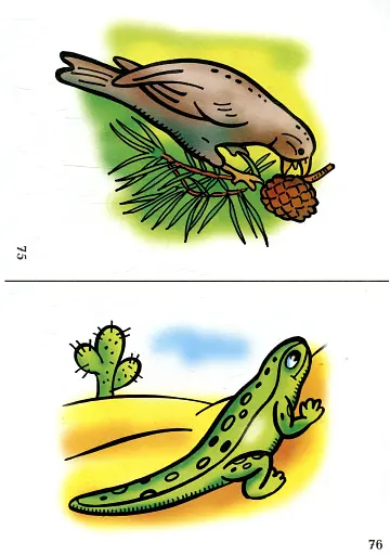 Я досліджую світ. 1-4 класи. Тварини. Комплект наочності - фото 2