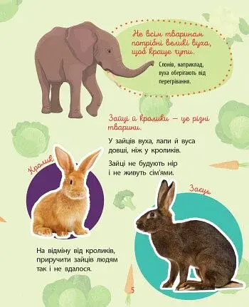 Чомусики. Тварини - фото 5