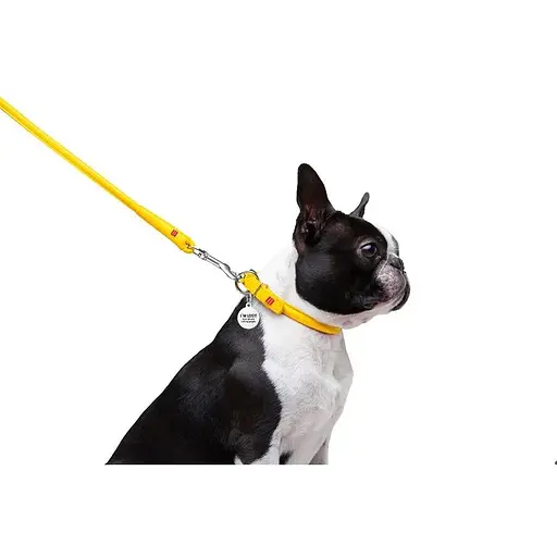 Повідець для собак Waudog Glamour шкіряний круглий, жовтий - фото 4