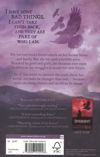 Insurgent - фото 3