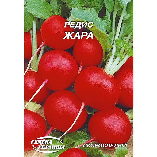 Семена Семена Украины редис жара 20 г (166700)
