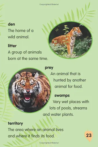 I Love Reading. 550 Words. Tiger! - фото 8