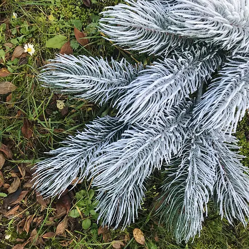 Декоративная искусственная хвоя Hvoya Сосна литая ветка елки заснеженная 60 см - фото 3