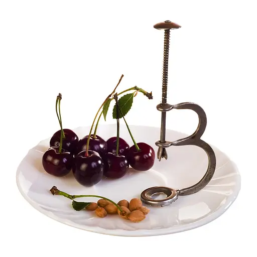 Отделитель косточек вишни инструмент для удаления вишневой косточки из нержавеющей стали, Kitchen Master Серый 83063 - фото 3