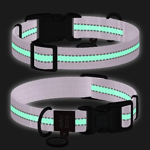 Ошейник для собак нейлоновый Waudog Nylon с QR-паспортом светонакопительный/светоотражающий пластиковый фастекс Ш 15 мм, - фото 2