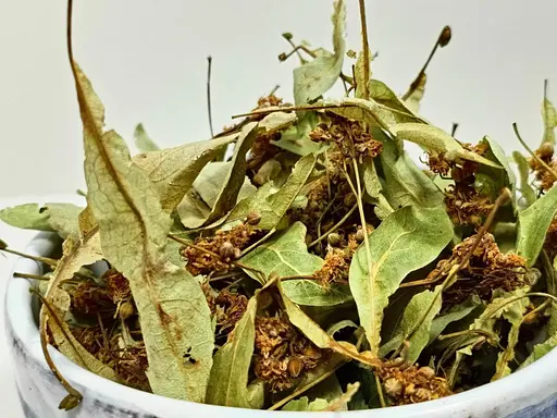 Сушена липа 25г - фото 4