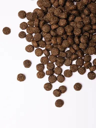 Сухий корм для собак середніх порід Savory Medium Breed rich in Fresh Turkey & Lamb зі свіжим м'ясом індички і ягняти 12 кг - фото 5