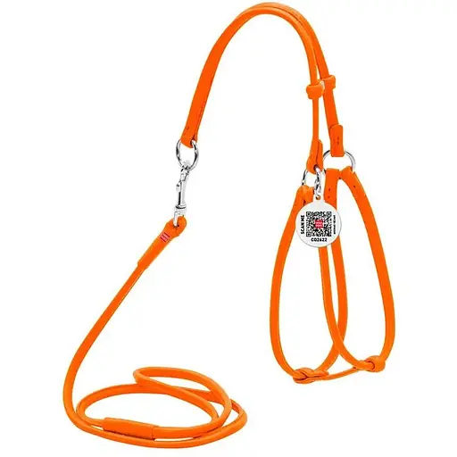 Шлея з повідцем для собак Waudog Glamour шкіряна з QR паспортом, кругла, помаранчевий
