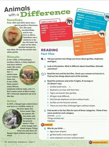 Own it! Level 1. Student's Book with Practice Extra - фото 6