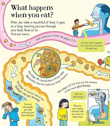 Look Inside. What Happens When You Eat - фото 4