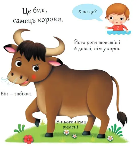 Книга Хто це? Корови. Автор - Емілія Бомон, Наталя Беліно (Богдан) - фото 3