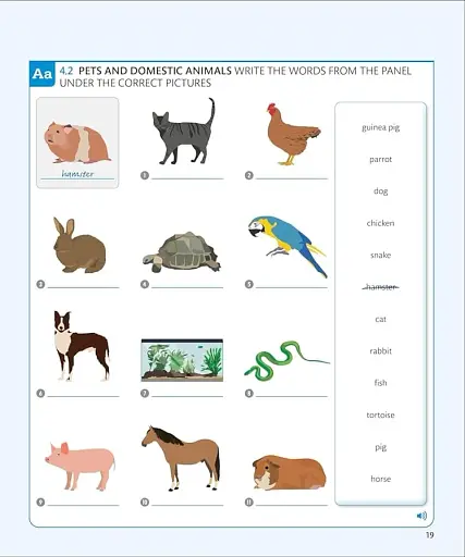 English for Everyone 1 Beginner Practice Book: A Complete Self-Study Programme (new ed.) - фото 4