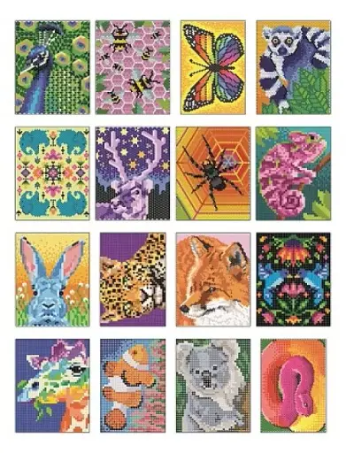 Кольоровий квест. ЗооДива - фото 4