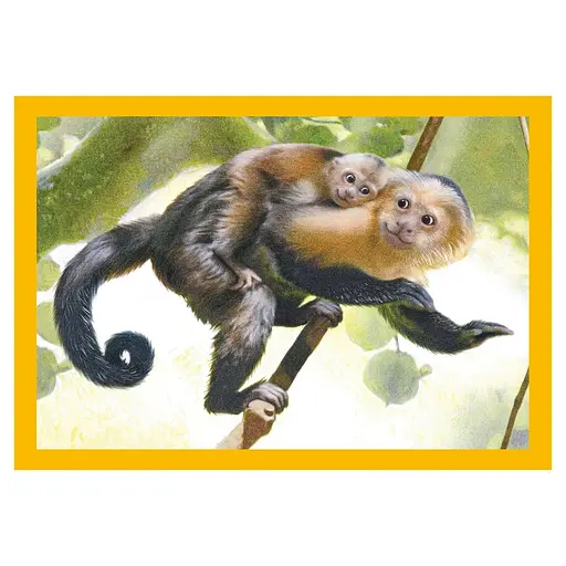  Пазл 4 в 1 Clementoni Baby Cuddles: 12+16+20+24 елементи (21532) - фото 3