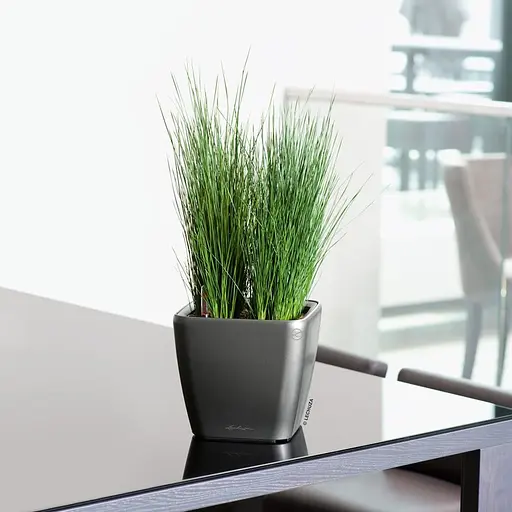 Вазон Lechuza Quadro Premium LS 21 антрацит (16123) - фото 4