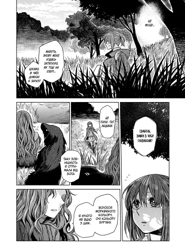 Наречена чаклуна. Том 3 - фото 3