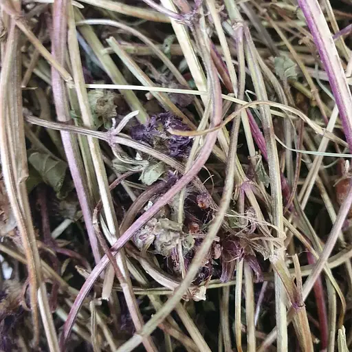 100 г черноголовка обыкновенная трава сушеная - свежий урожай