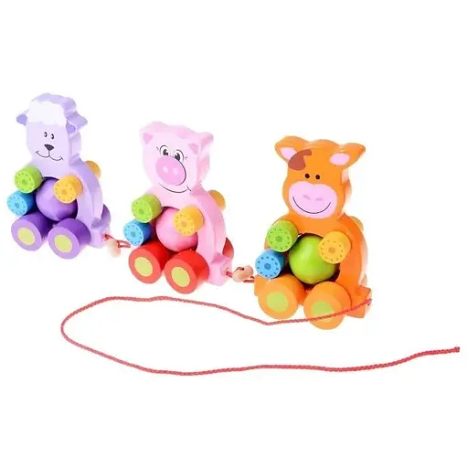 Игрушка для развития деревянный сортер IE176