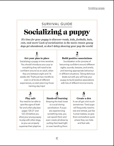 What's My Dog Thinking? Understand Your Dog to Give Them a Happy Life - фото 5