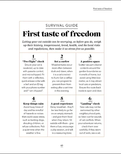 What's My Cat Thinking? Understand Your Cat to Give Them a Happy Life - фото 6