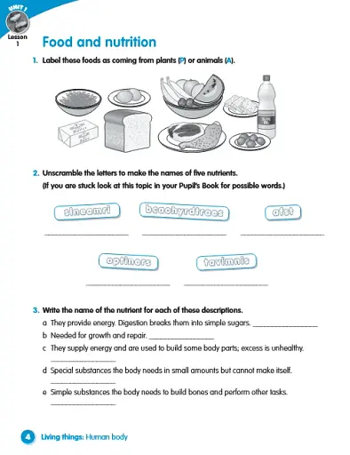 Macmillan Science. Level 5. Workbook - фото 2