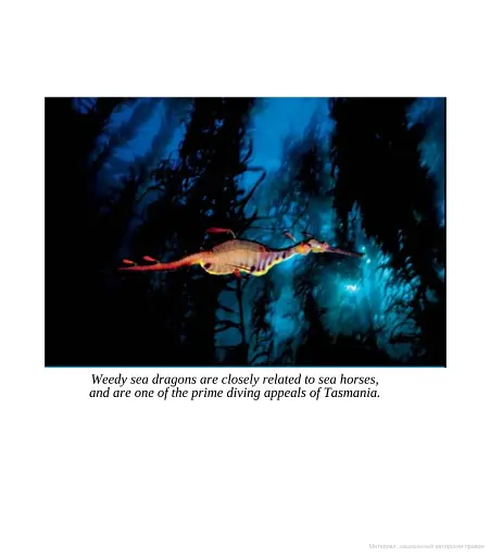 Fifty Places to Dive Before You Die. Diving Experts Share the World's Greatest Destinations - фото 12