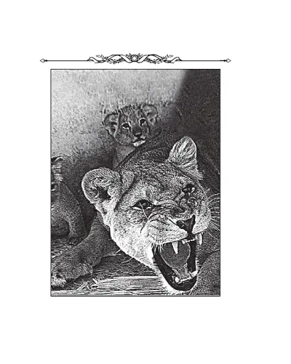 Весела наука - фото 18