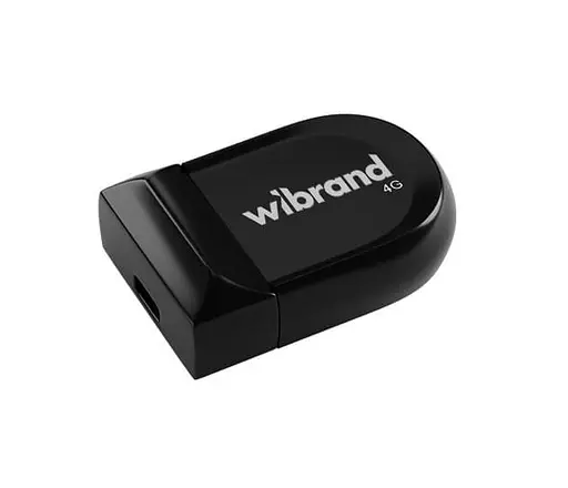 Flash Wibrand USB 2.0 Scorpio 4Gb Black - фото 1
