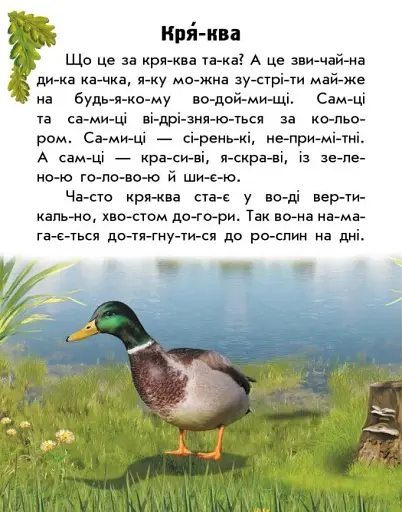 Читаю про Україну. Тварини річок та морів - фото 6