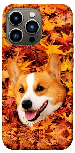 TPU чехол Корги в листьях - фото 1