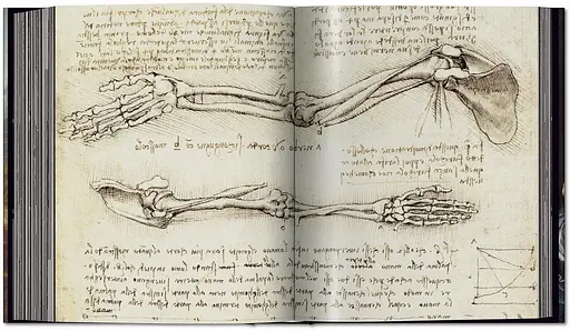 Leonardo. The Complete Paintings and Drawings - фото 15