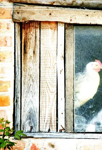 Смачна Кропивниччина - фото 3