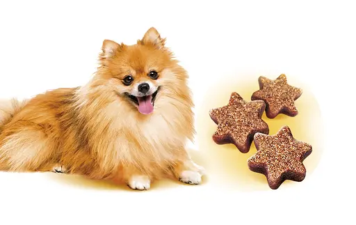 Ласощі Brit Care Mini Treats Shine для собак малих порід для блискучої шерсті з лососем 50 г - фото 2