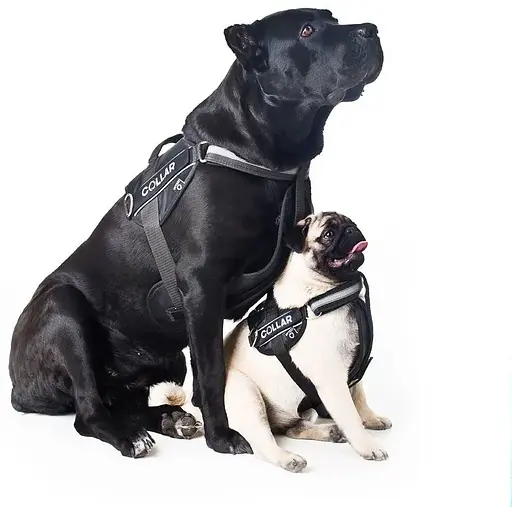 Шлея Dog Extreme "Police" №2 (В:40-60см), чорний - фото 4