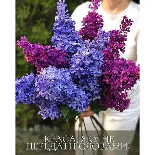 Сирень латексная Real Touch премиум качество ветка 72 см голубая - фото 10