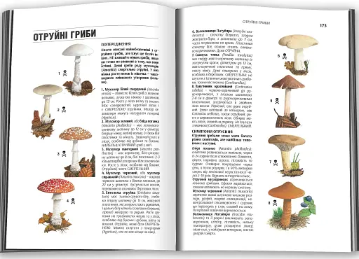 SAS. Найкращий посібник із виживання - фото 4