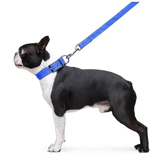 Поводок Dog Extreme из нейлона двойной (ширина 20мм, длина 122см), голубой - фото 5