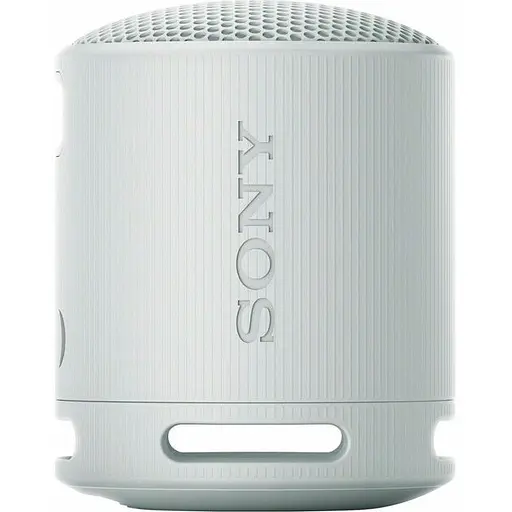 Портативна акустика Sony SRS-XB100 Grey (SRSXB100H.CE7)